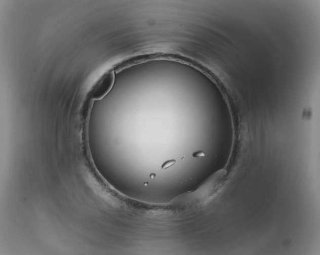 X0000112111118200908111435