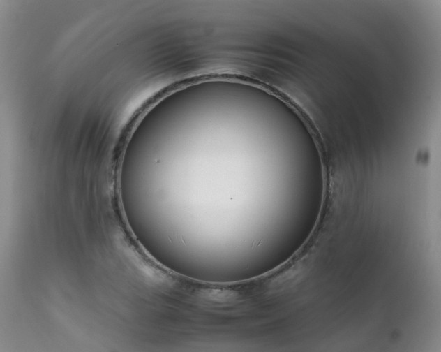 X0000112111119200908111435