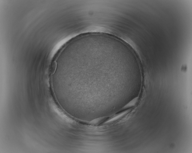 X0000112111120200908111435