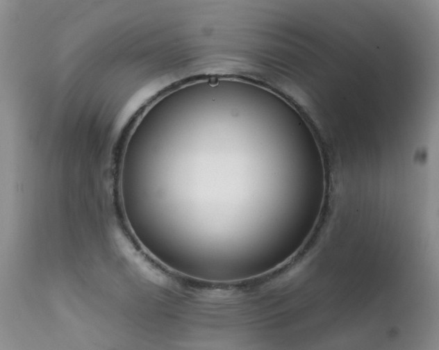 X0000112111122200908111435