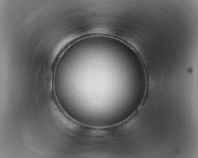 X0000112111123200908111435