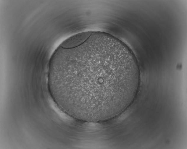 X0000112111124200908111436