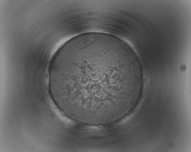 X0000112111125200908111436