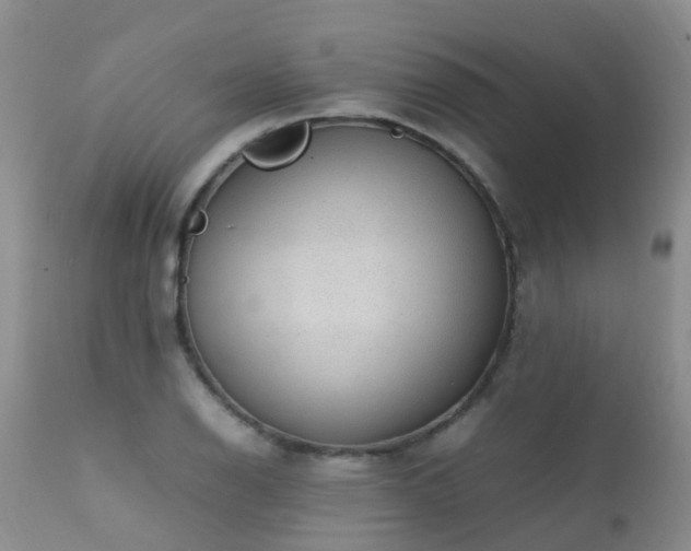 X0000112111126200908111436