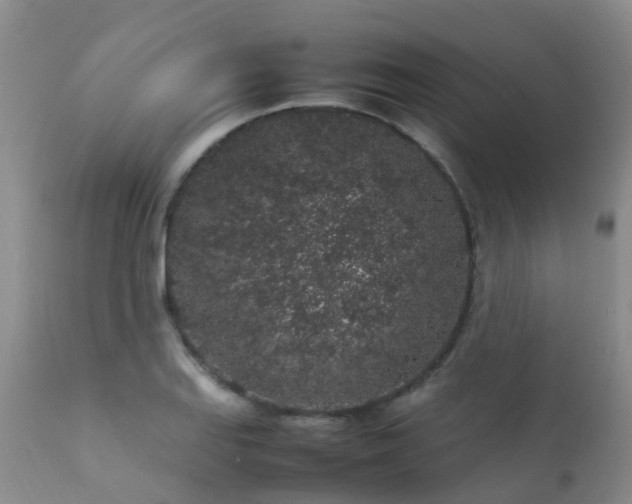 X0000112111127200908111436