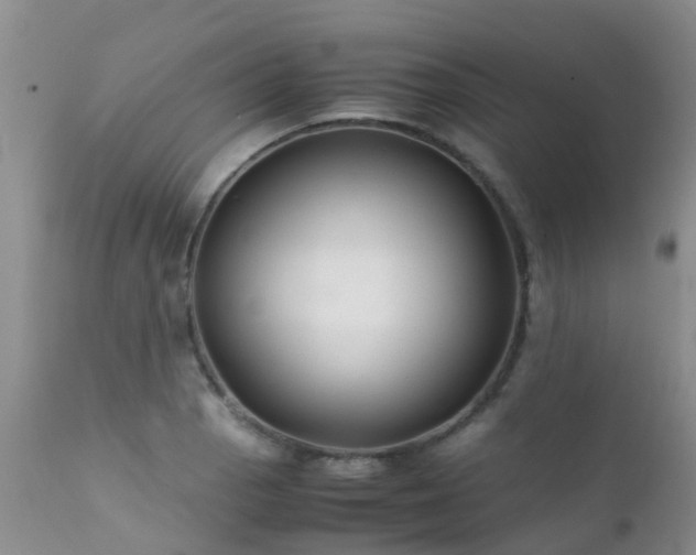 X0000112111129200908111436