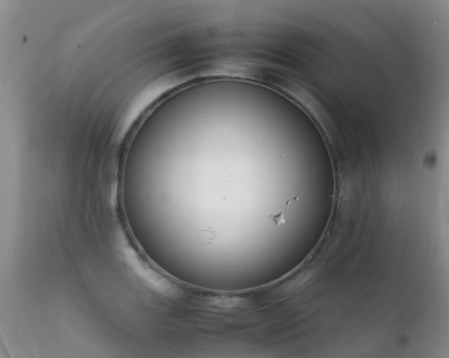 X0000112111131200908111436