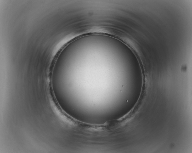 X0000112111133200908111436