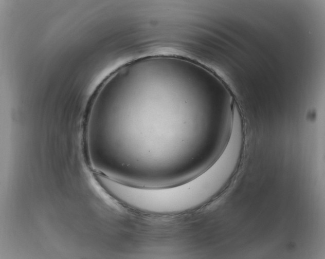 X0000112111134200908111436