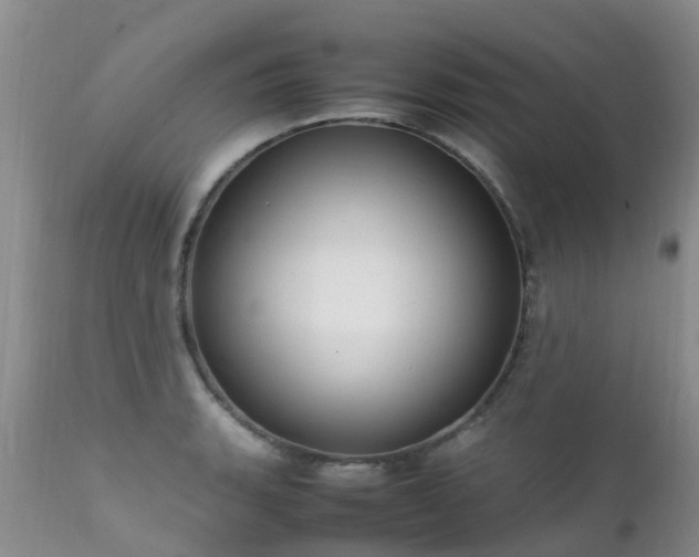 X0000112111135200908111436