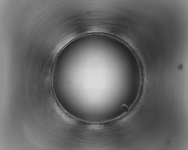 X0000112111137200908111436