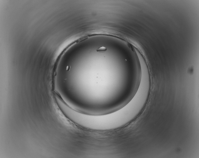 X0000112111138200908111436