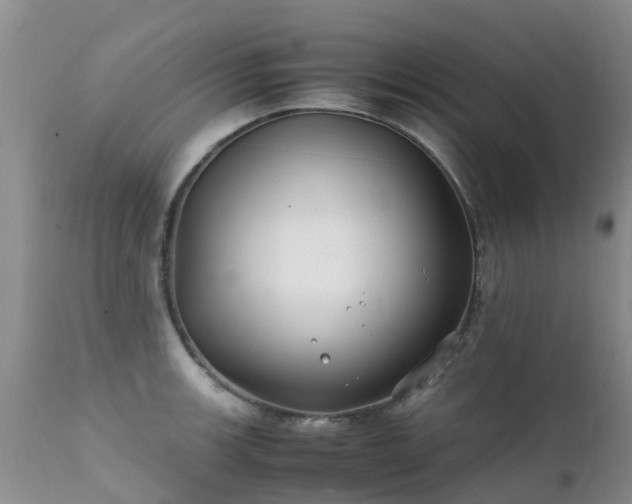 X0000112111139200908111436