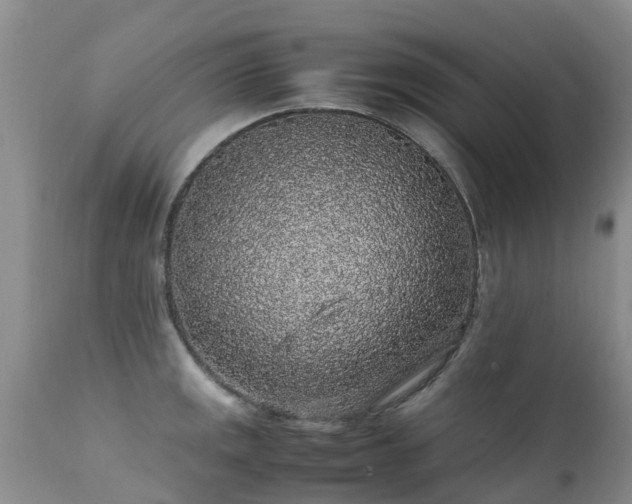 X0000112111141200908111436