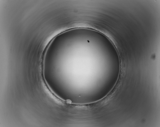 X0000112111142200908111436