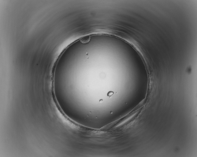 X0000112111143200908111436