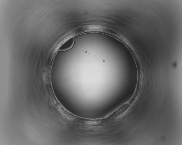 X0000112111145200908111436