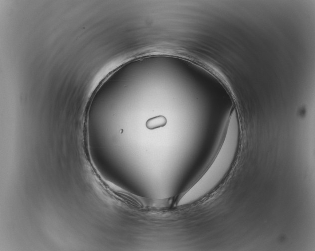 X0000112111146200908111436