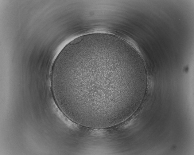 X0000112111148200908111436