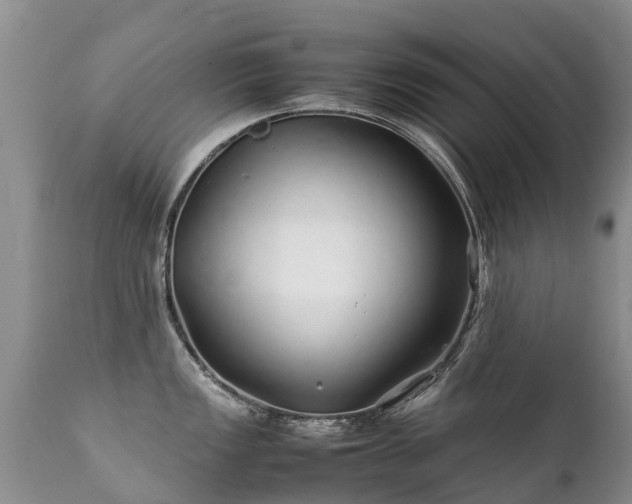 X0000112111149200908111436