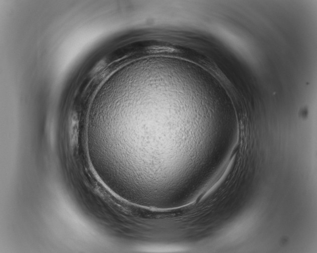 X0000112111151200908111436