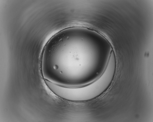 X0000112111152200908111436