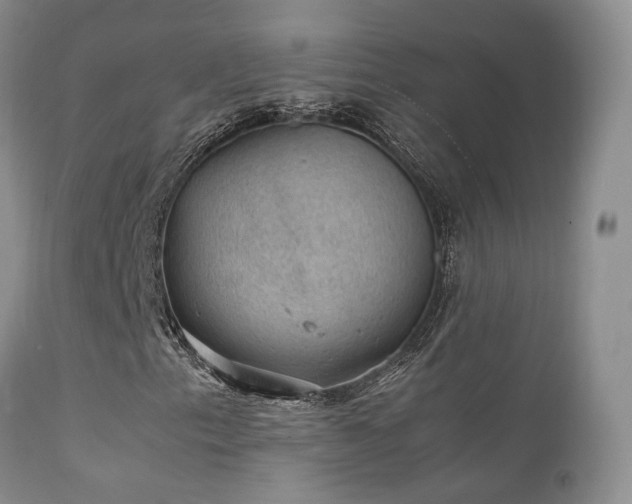 X0000112111153200908111435