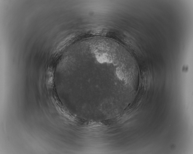 X0000112111154200908111435