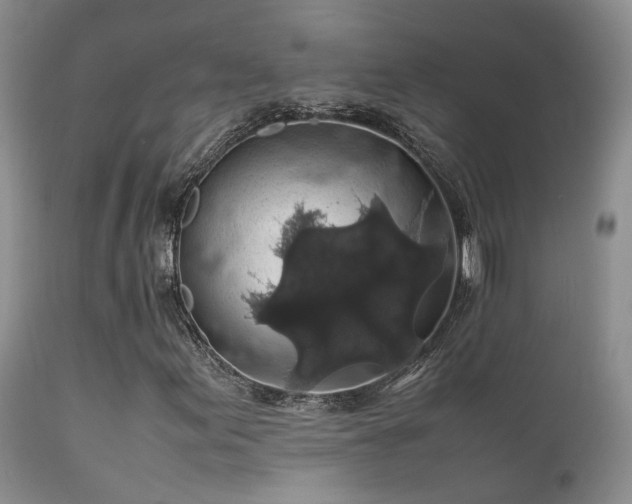 X0000112111155200908111435