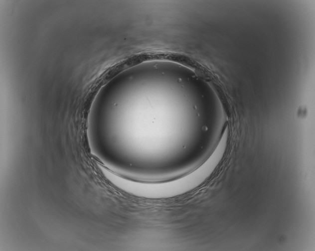 X0000112111157200908111435