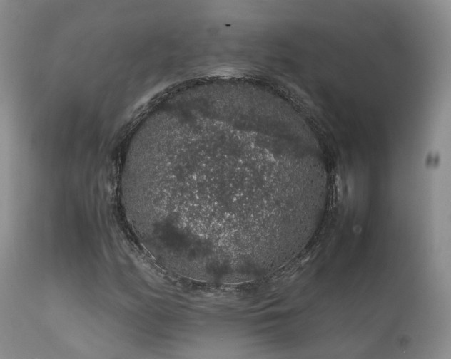 X0000112111158200908111435