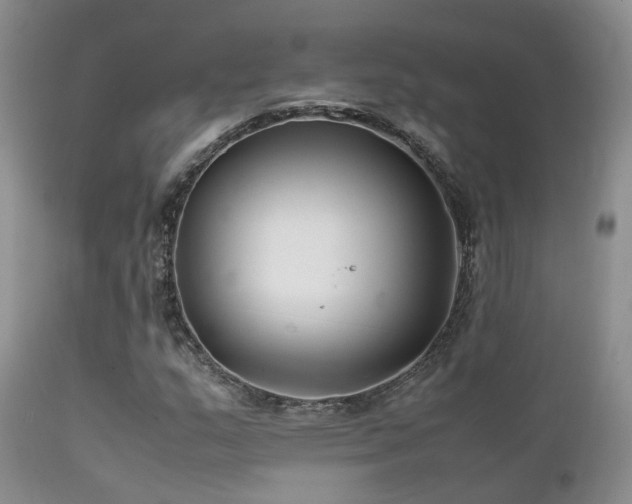 X0000112111159200908111435