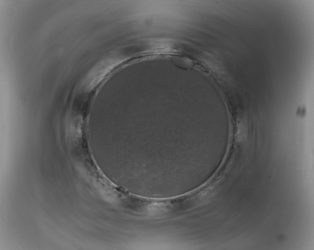 X0000112111161200908111435