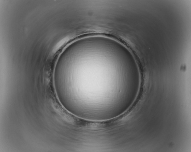 X0000112111163200908111435