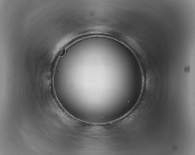 X0000112111164200908111435