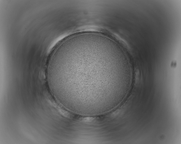 X0000112111166200908111435