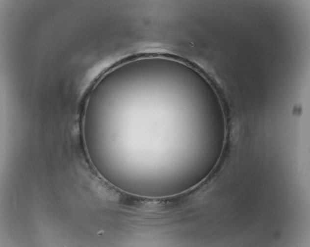 X0000112111167200908111435