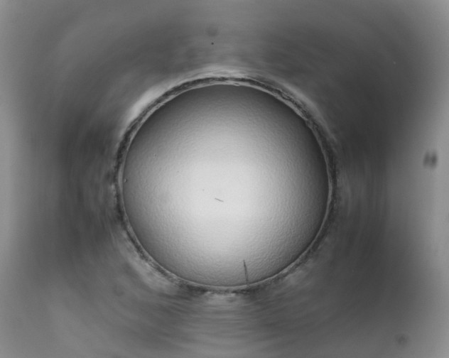 X0000112111168200908111435