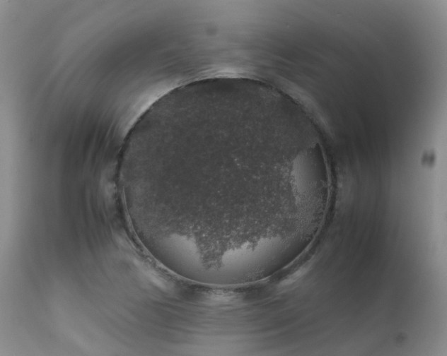 X0000112111170200908111435