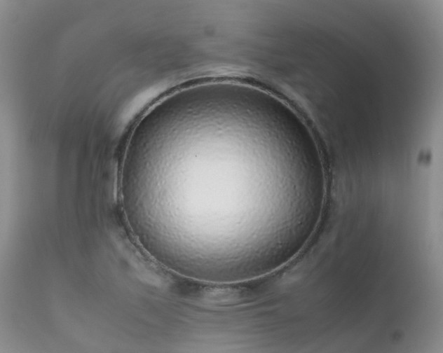 X0000112111171200908111435