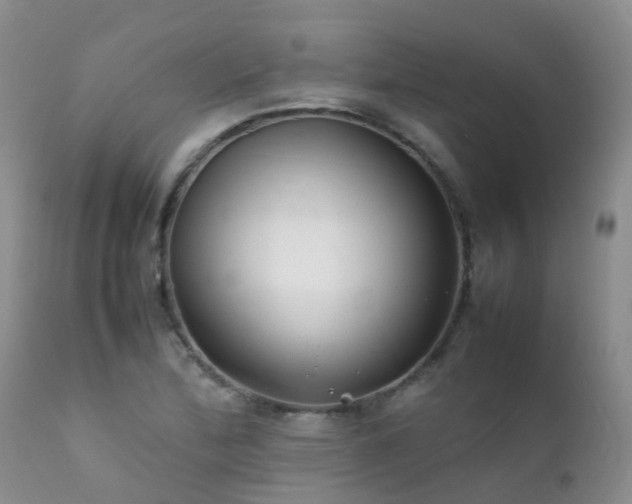 X0000112111172200908111435