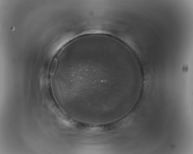 X0000112111173200908111435