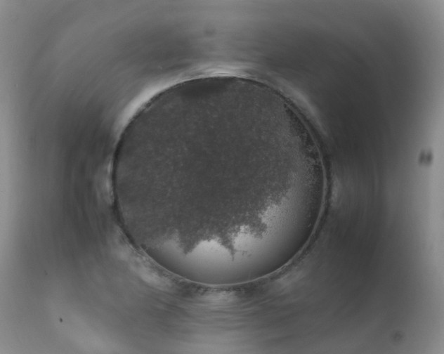 X0000112111174200908111435