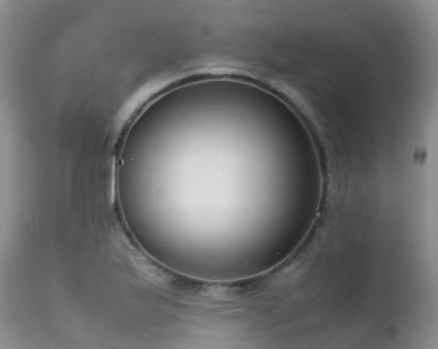 X0000112111175200908111435