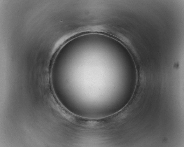 X0000112111176200908111435