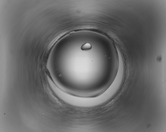 X0000112111177200908111435