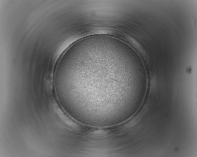 X0000112111178200908111435