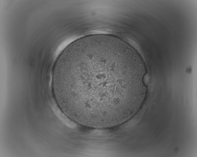 X0000112111179200908111435