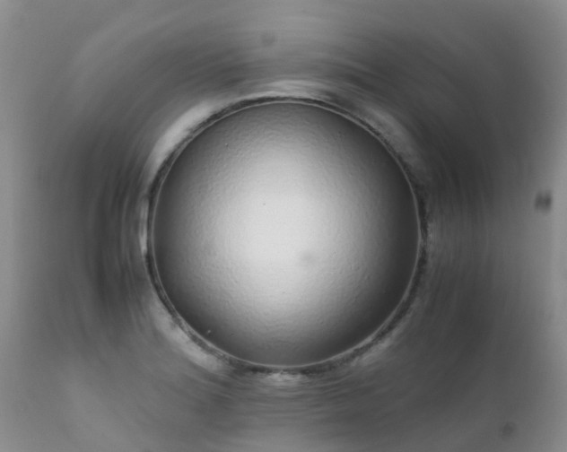 X0000112111180200908111435