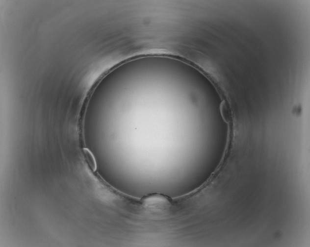 X0000112111181200908111435